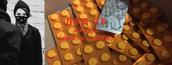 ГАЛЛЮЦИНОГЕННЫЕ ГРИБЫ Краснотурьинск
