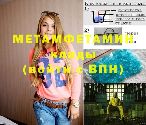 крисы Козловка