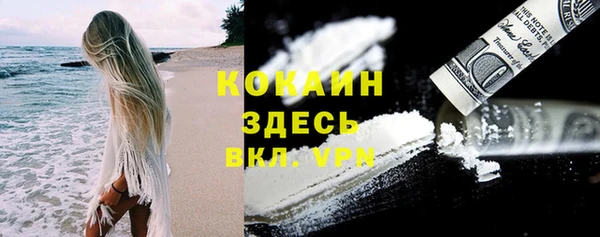 ГАЛЛЮЦИНОГЕННЫЕ ГРИБЫ Краснотурьинск