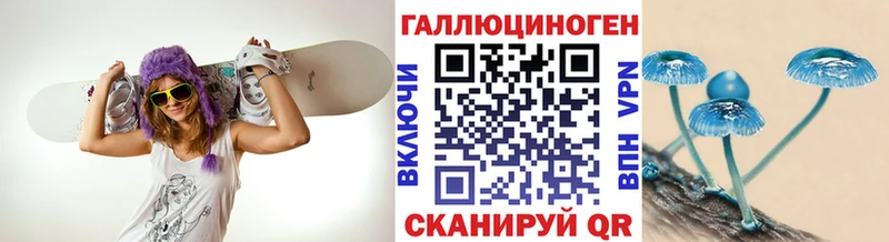 магазин продажи наркотиков  Спасск  Псилоцибиновые грибы Magic Shrooms 