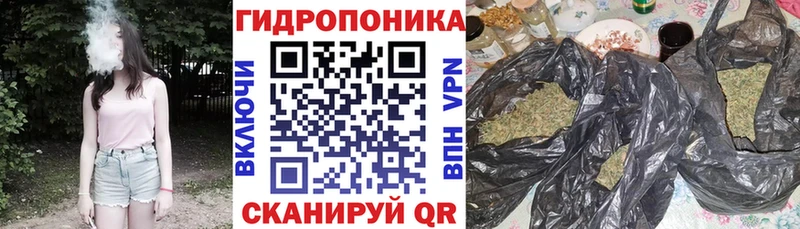 blacksprut зеркало  Спасск  Бошки марихуана план 